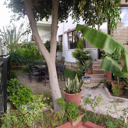 Szálloda Asem Alanya